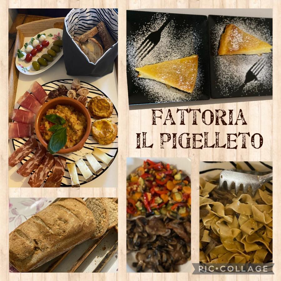 ピアンカスタニャーイオ Fattoria Il Pigelletoヴィラ エクステリア 写真