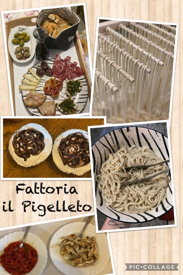 ピアンカスタニャーイオ Fattoria Il Pigelletoヴィラ エクステリア 写真
