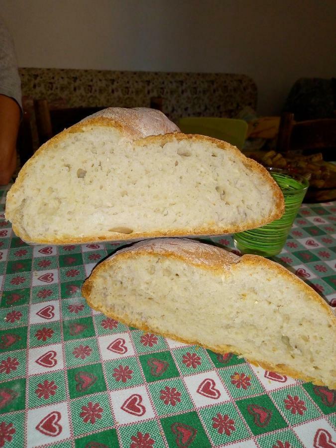 ピアンカスタニャーイオ Fattoria Il Pigelletoヴィラ エクステリア 写真